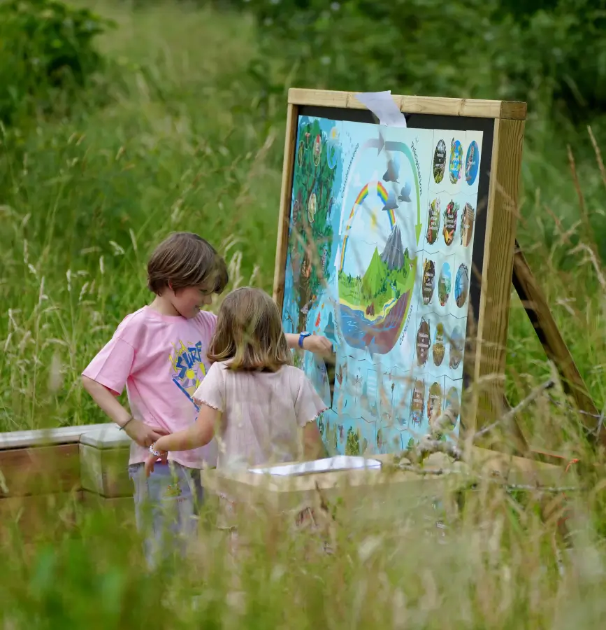 Deux enfants observent attentivement un grand panneau pédagogique en bois lors d'un atelier en plein air à la Vallée de la Millière. Le panneau illustre des cycles naturels pour sensibiliser à la biodiversité des zones humides et au réensauvagement auprès d'un jeune public.