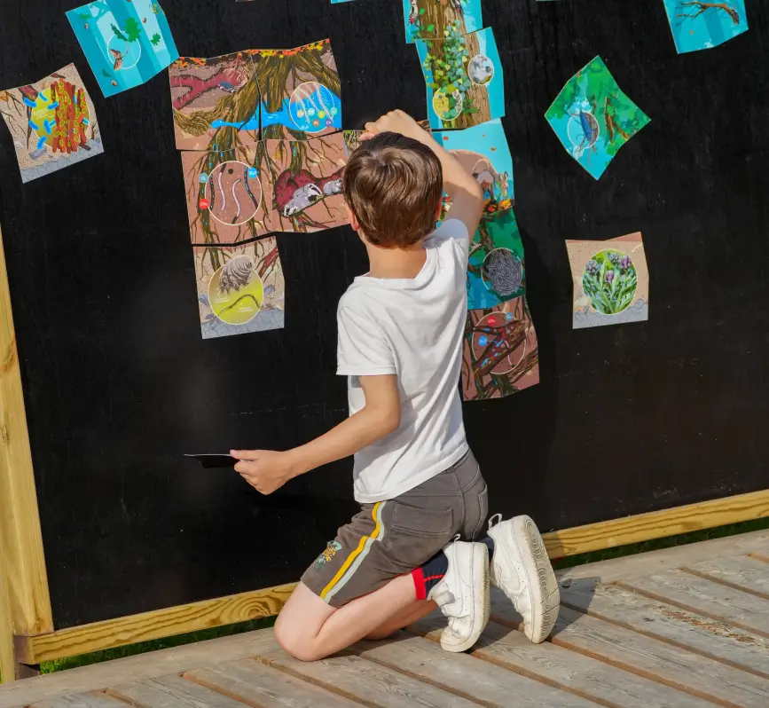 Enfant participant à un jeu pédagogique interactif à la Vallée de la Millière, manipulant des illustrations sur la faune du sol et les racines pour comprendre l'importance de la biodiversité souterraine dans le réensauvagement.