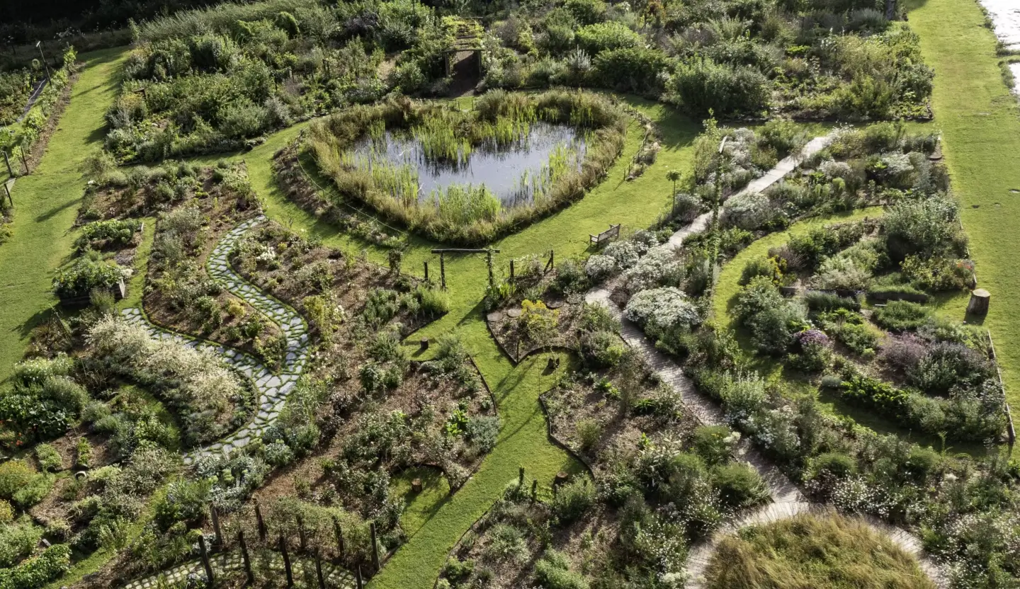 Vue aérienne du Jardin des Partages à la Vallée de la Millière, dévoilant un bassin en forme de cœur au centre d'une zone humide aménagée pour favoriser la biodiversité et le réensauvagement.