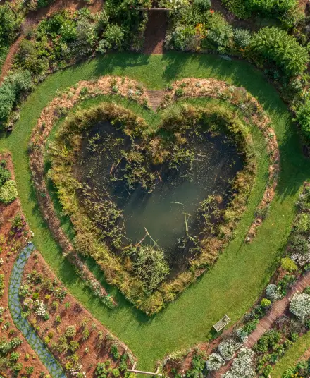 Vue aérienne du Jardin des Partages à la Vallée de la Millière, présentant un bassin en forme de cœur entouré de végétation. Ce projet illustre la création d'oasis de biodiversité et la restauration des zones humides pour un équilibre naturel retrouvé.