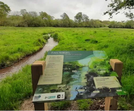 Panneau pédagogique sur les zones humides installé au bord d'un cours d'eau dans la Vallée de la Millière, sensibilisant le public à la préservation de la flore et à l'équilibre naturel du site.