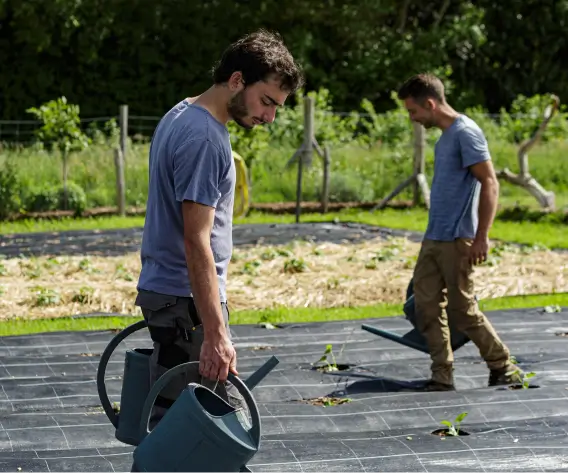 Deux jardiniers utilisant des arrosoirs sur une parcelle de culture protégée par une bâche de paillage au Jardin des Partages, illustrant la technique de couverture des sols à la Vallée de la Millière.