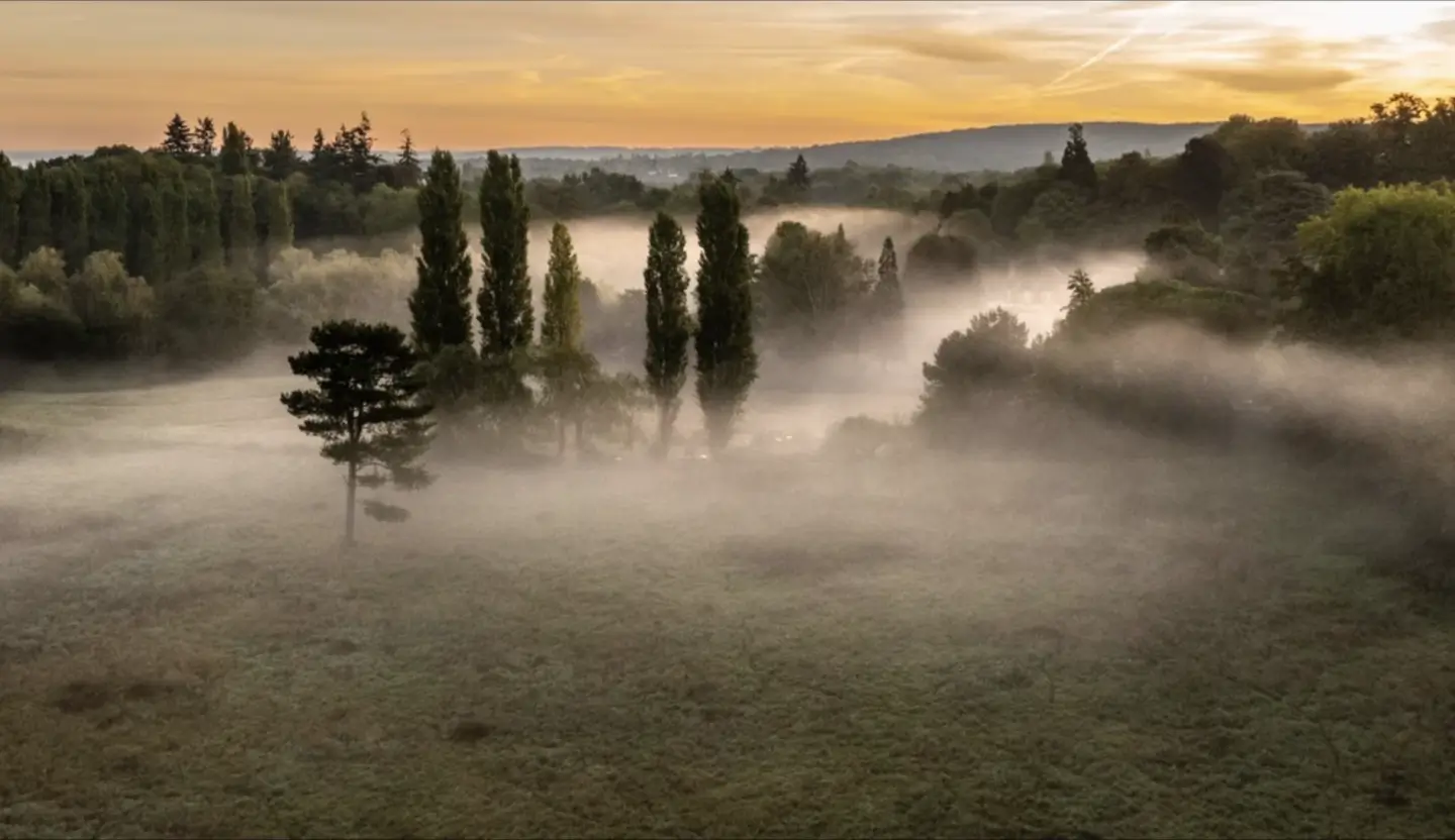 Paysage de la zone humide de la Vallée de la Millière baigné dans la brume matinale au lever du soleil, illustrant le projet de réensauvagement et la préservation de la biodiversité locale.